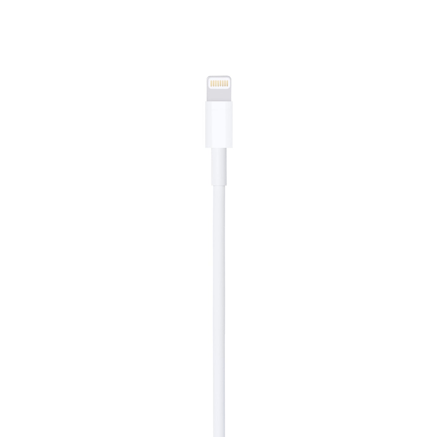 Lightning to USB Cable (0.5 m)