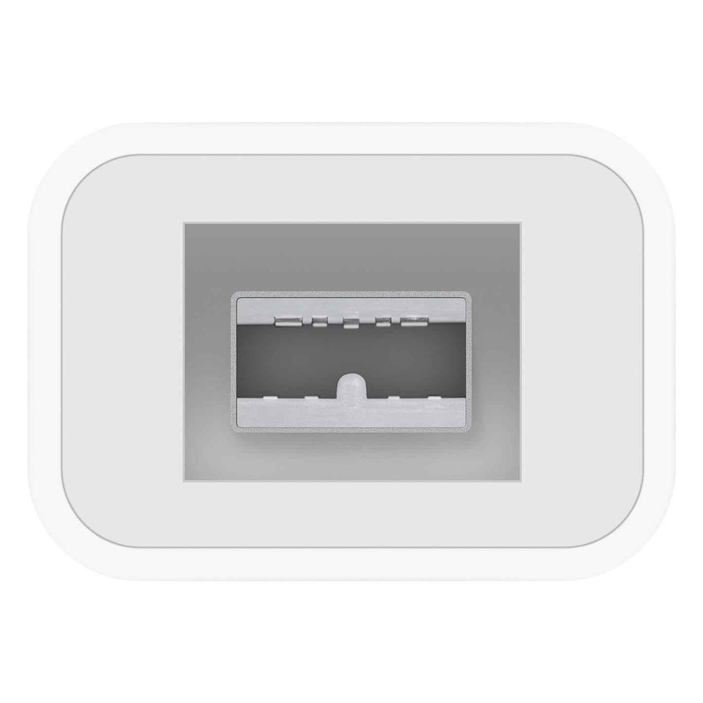Apple Thunderbolt to Firewire Adapter