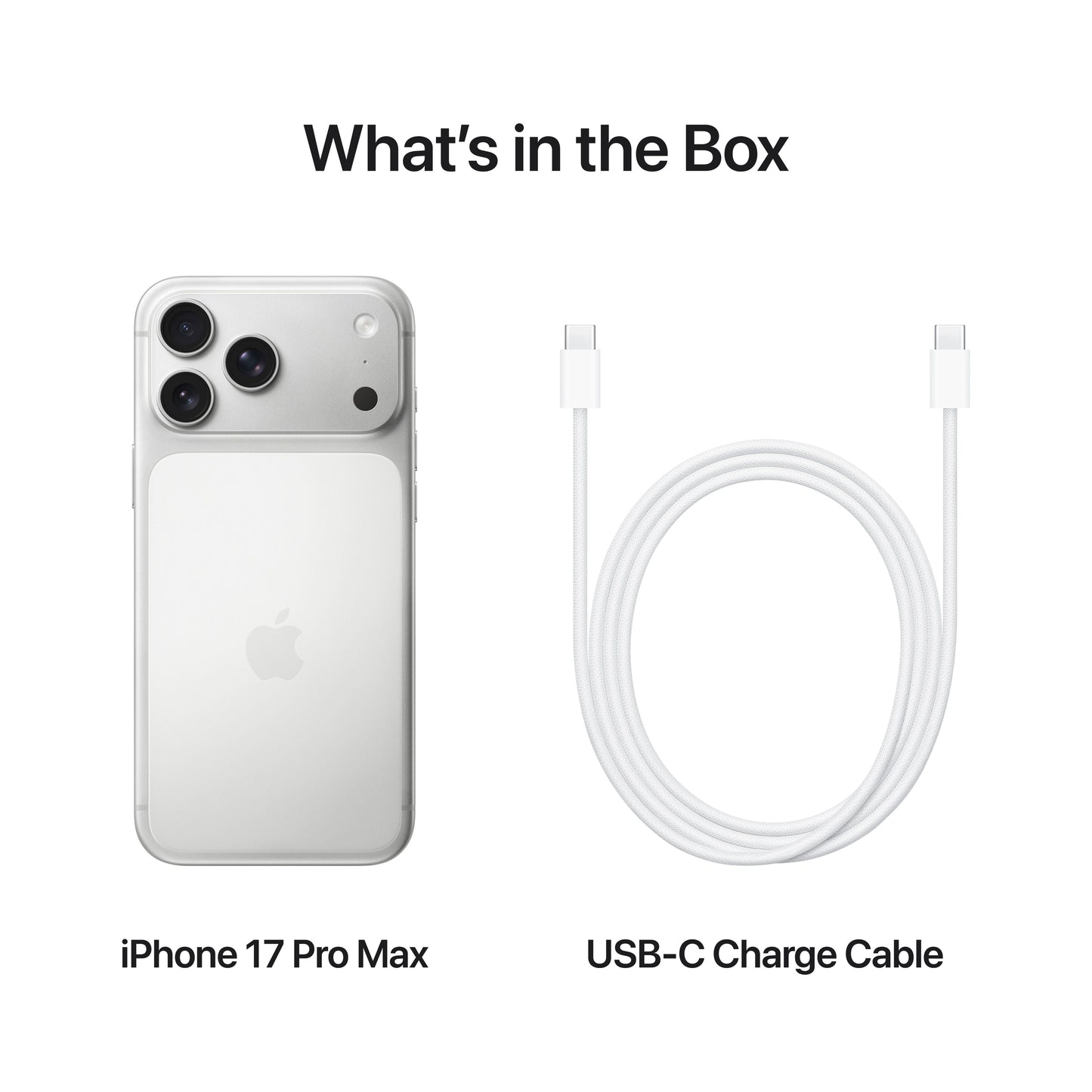iPhone_17_Pro_Max_Silver_PDP_Image_Position_8__WWEN