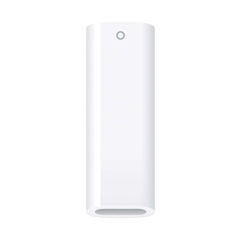 Apple Pencil (1st Generation) with USB-C to Apple Pencil Adapter