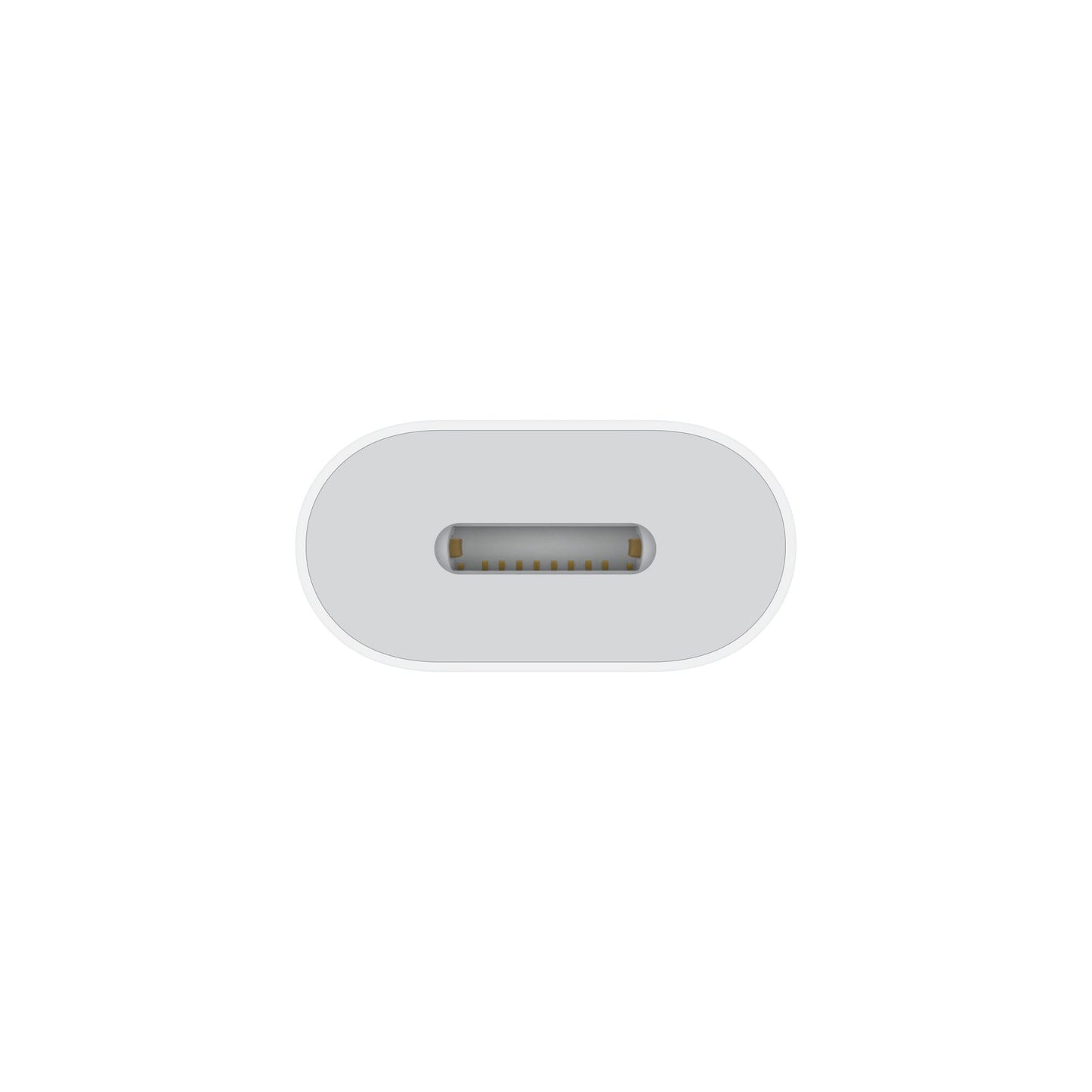 USB-C to Lightning Adapter