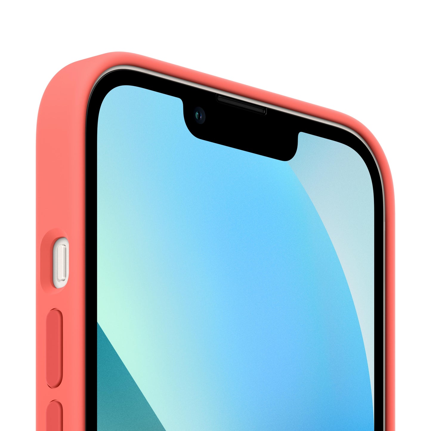 iPhone 13 Silicone Case with MagSafe _ Pink Pomelo