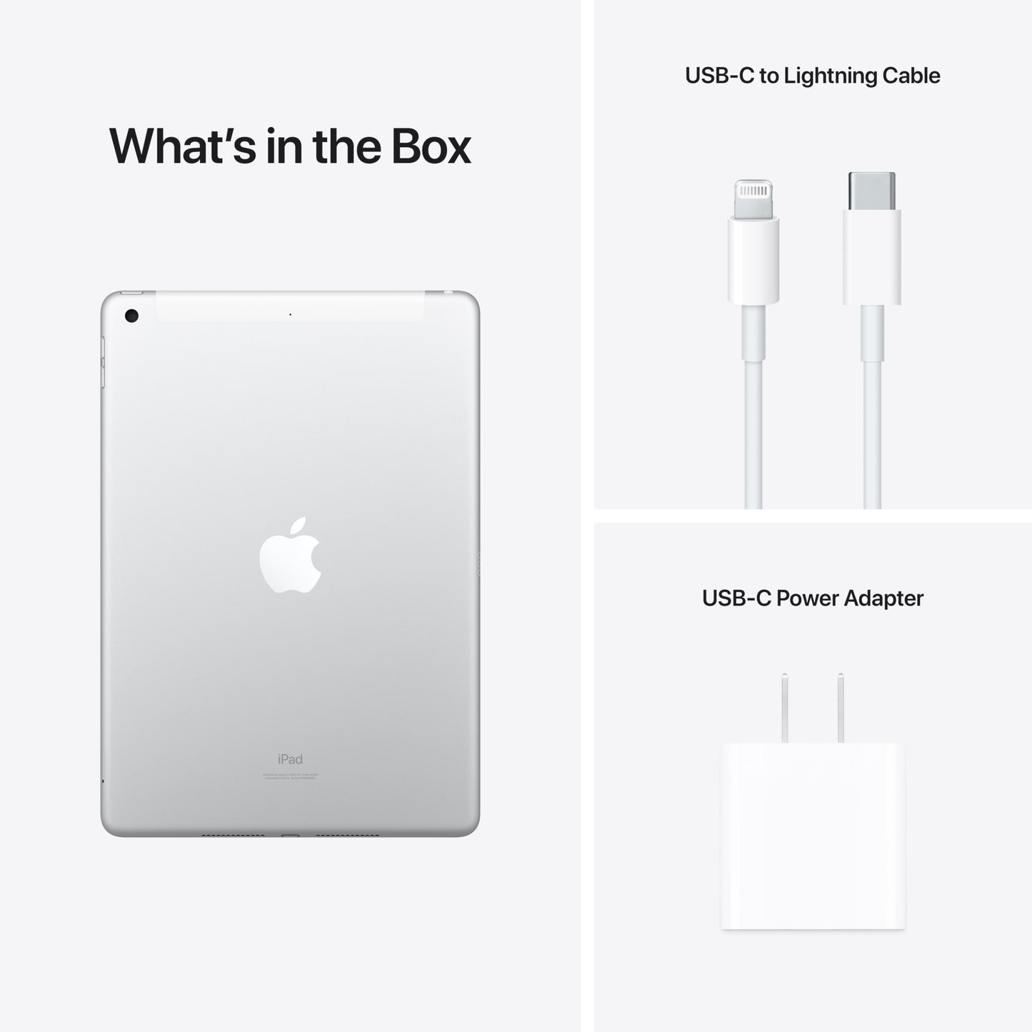 iPad (9th Gen) Wi-Fi + Cellular 256GB - Silver