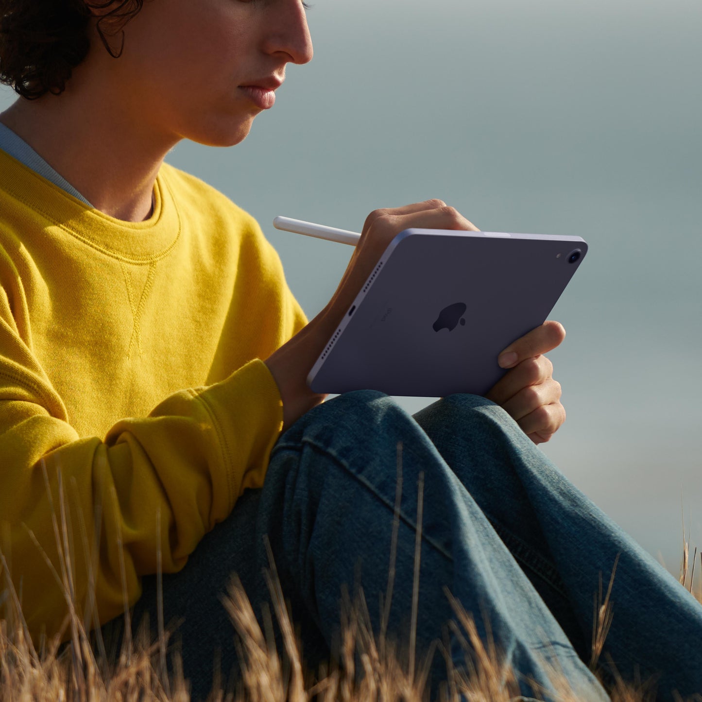 iPad mini (6th Gen) Wi-Fi 256GB - Starlight